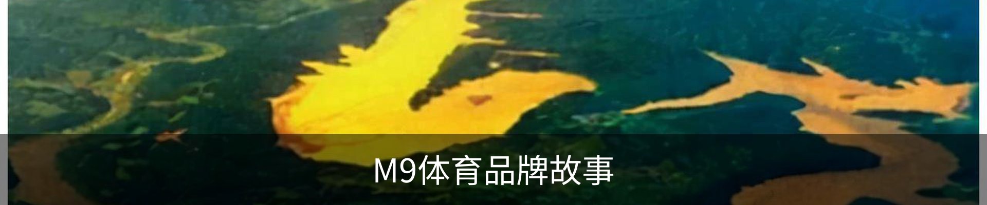 M9体育品牌故事